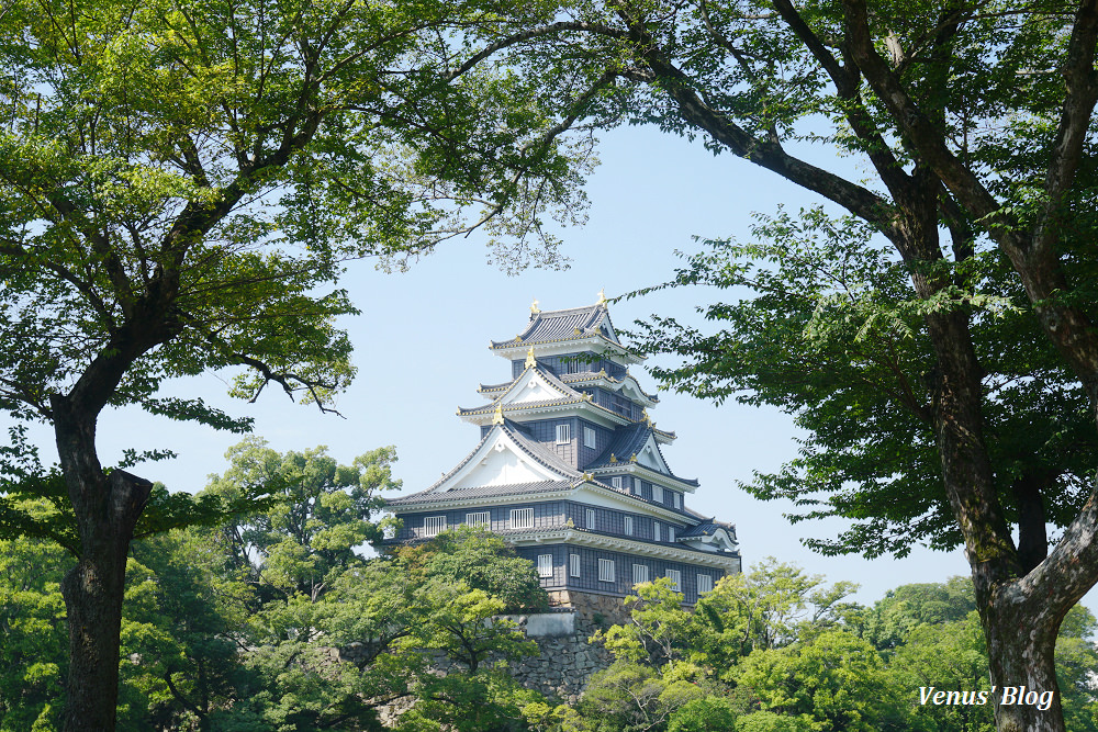 台灣虎航,台虎,台灣虎航飛岡山,台灣虎航飛機餐,岡山機場到岡山車站交通方式,岡山機場到倉敷,倉敷常春藤飯店,倉敷拉麵,倉敷小豆島拉麵,倉敷美食,後樂園,岡山城,岡山市中央批發市場,味の匠大名庵,食堂備前,岡山桃茂實苑,麝香葡萄