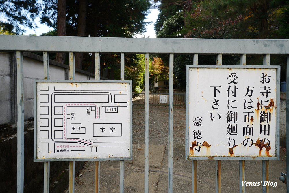 豪德寺,招財貓的發源地,東京貓寺,招財貓寺廟,下北澤,豪德寺賞楓,東京賞楓,小田急電車,豪德寺站