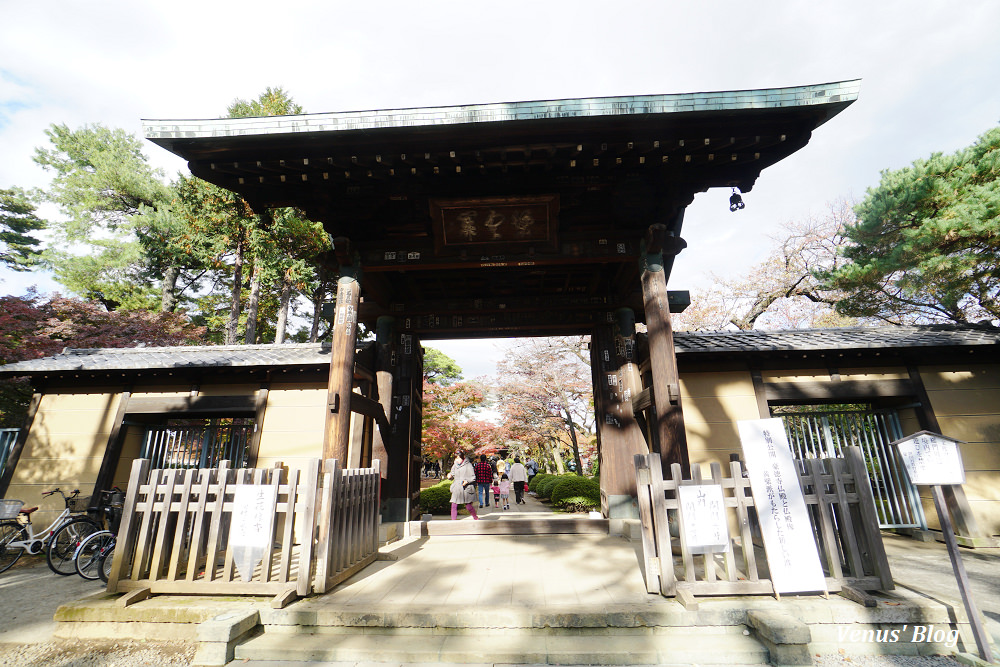 豪德寺,招財貓的發源地,東京貓寺,招財貓寺廟,下北澤,豪德寺賞楓,東京賞楓,小田急電車,豪德寺站