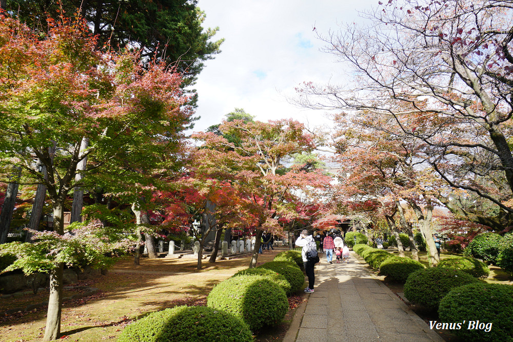 豪德寺,招財貓的發源地,東京貓寺,招財貓寺廟,下北澤,豪德寺賞楓,東京賞楓,小田急電車,豪德寺站