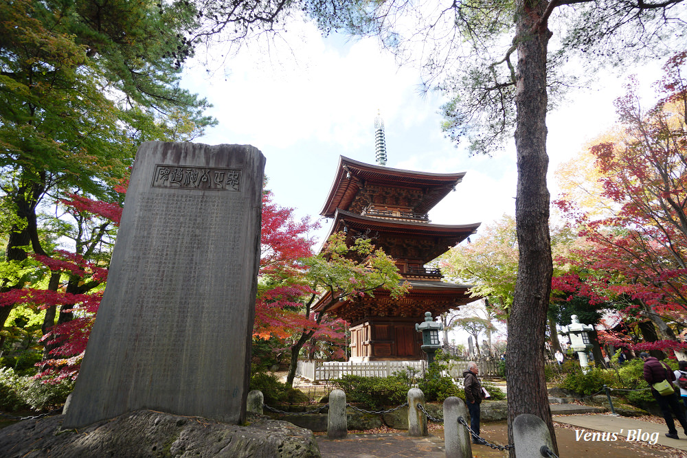 豪德寺,招財貓的發源地,東京貓寺,招財貓寺廟,下北澤,豪德寺賞楓,東京賞楓,小田急電車,豪德寺站