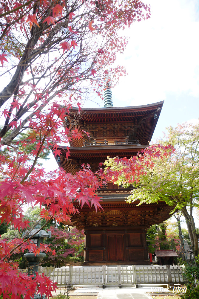 豪德寺,招財貓的發源地,東京貓寺,招財貓寺廟,下北澤,豪德寺賞楓,東京賞楓,小田急電車,豪德寺站