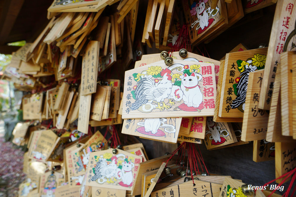 豪德寺,招財貓的發源地,東京貓寺,招財貓寺廟,下北澤,豪德寺賞楓,東京賞楓,小田急電車,豪德寺站