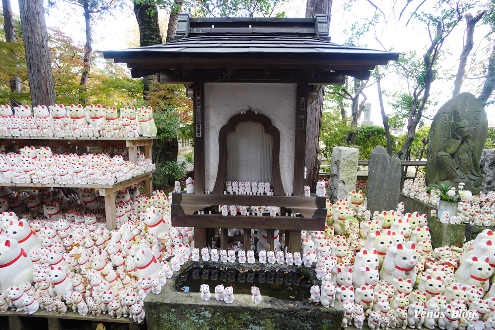 豪德寺,招財貓的發源地,東京貓寺,招財貓寺廟,下北澤,豪德寺賞楓,東京賞楓,小田急電車,豪德寺站