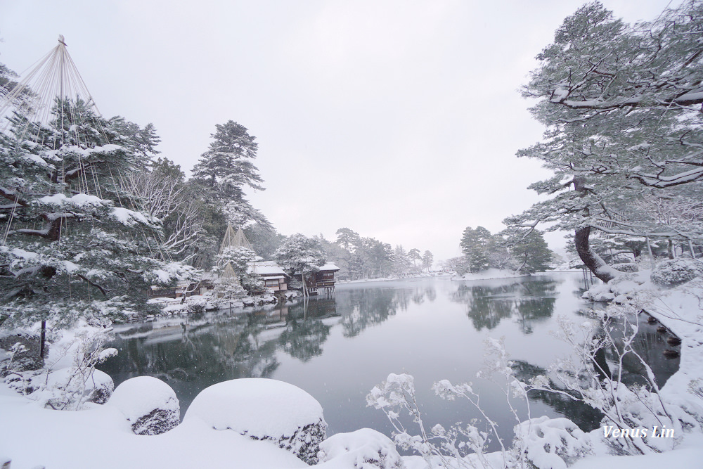 金澤,雪之兼六園,下雪的兼六園,雪吊絕景