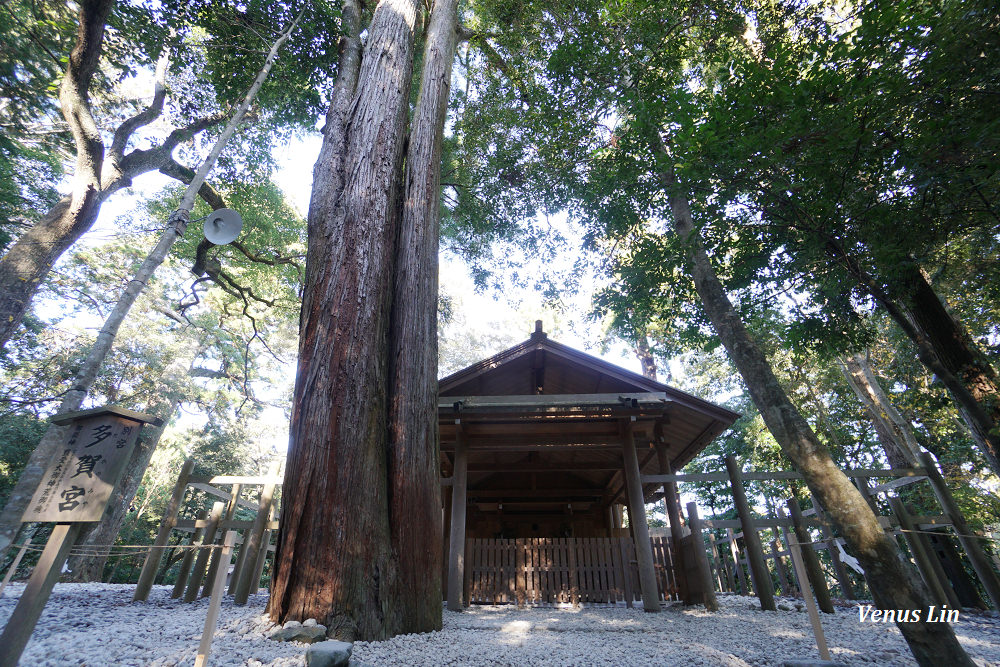 伊勢神宮日出,神秘的太陽神傳說日出,宇治橋日出,期間限定日出,伊勢神宮