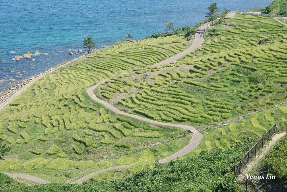 輪島,白米千枚田,世界農業遺產,白米千枚田夜間點燈日期,石川縣租車,小松機場租車