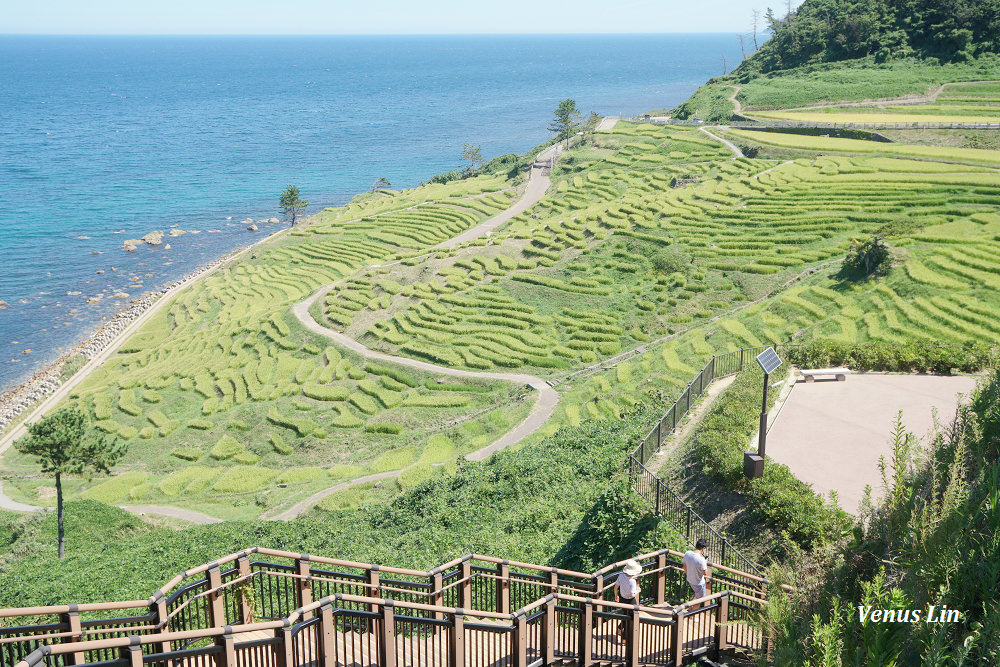 輪島,白米千枚田,世界農業遺產,白米千枚田夜間點燈日期,石川縣租車,小松機場租車