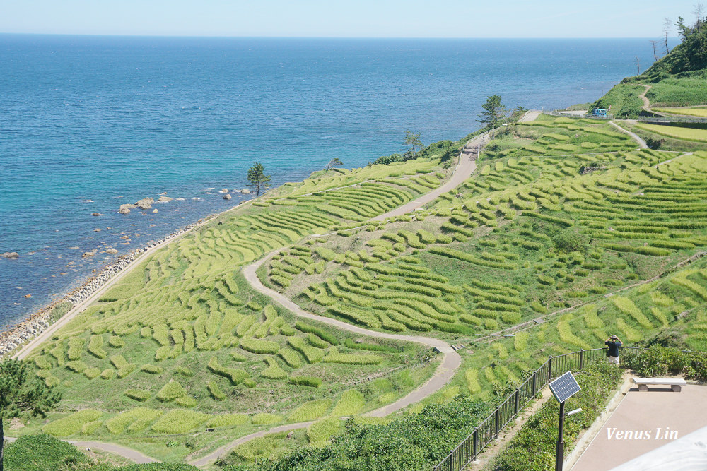 輪島,白米千枚田,世界農業遺產,白米千枚田夜間點燈日期,石川縣租車,小松機場租車