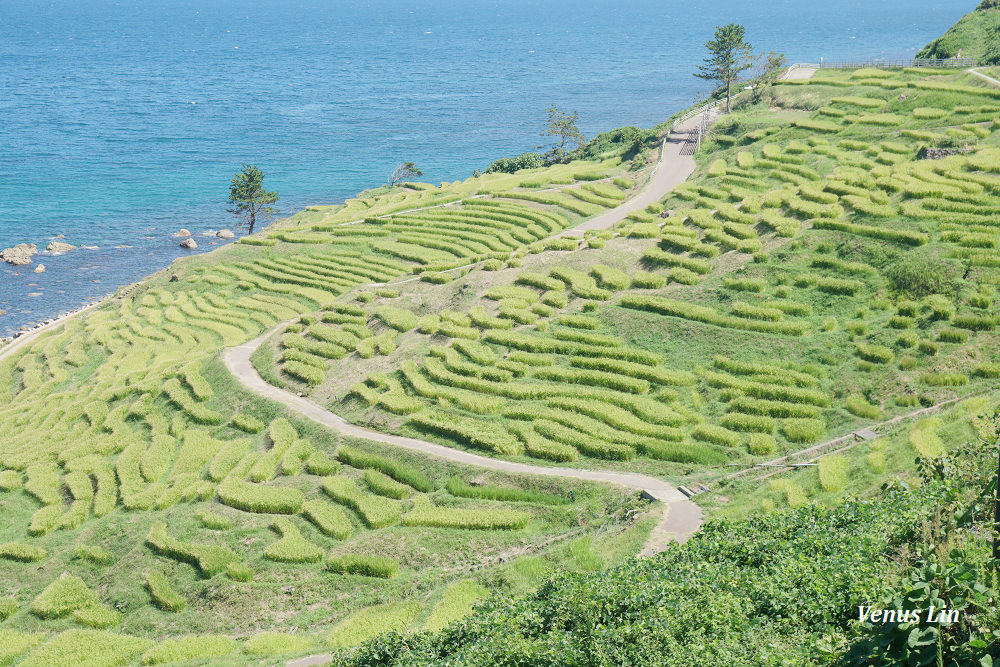 輪島,白米千枚田,世界農業遺產,白米千枚田夜間點燈日期,石川縣租車,小松機場租車