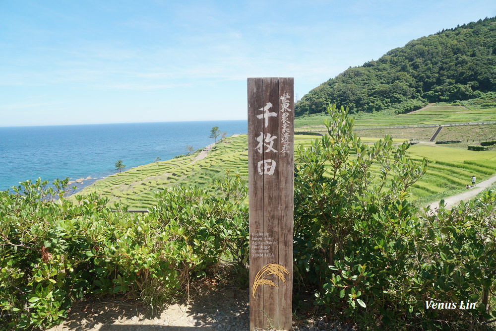 輪島,白米千枚田,世界農業遺產,白米千枚田夜間點燈日期,石川縣租車,小松機場租車