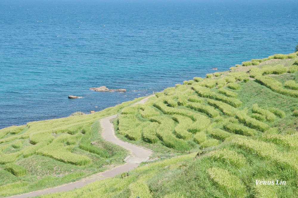 輪島,白米千枚田,世界農業遺產,白米千枚田夜間點燈日期,石川縣租車,小松機場租車