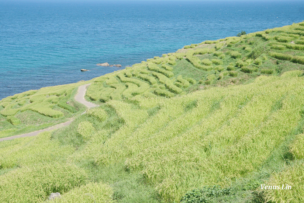 輪島,白米千枚田,世界農業遺產,白米千枚田夜間點燈日期,石川縣租車,小松機場租車