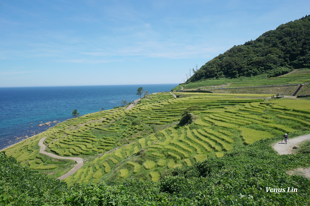 輪島,白米千枚田,世界農業遺產,白米千枚田夜間點燈日期,石川縣租車,小松機場租車