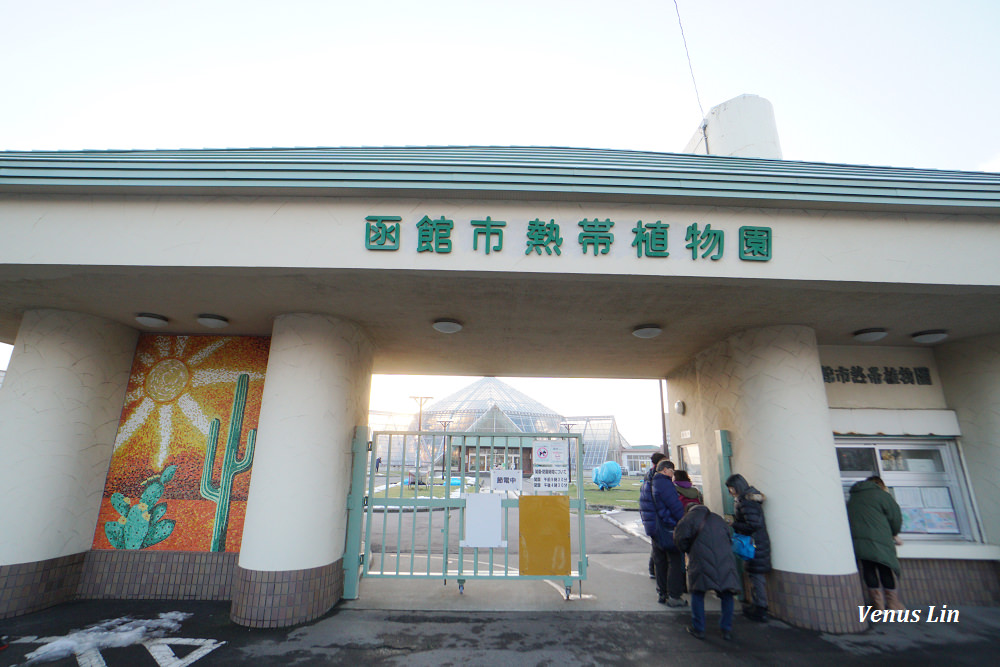 函館市熱帶植物園,函館猴子泡溫泉,猴子泡溫泉,北海道猴子泡溫泉