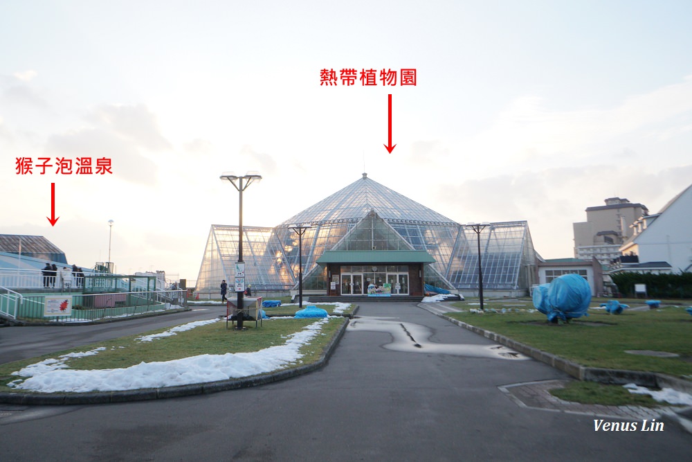 函館市熱帶植物園,函館猴子泡溫泉,猴子泡溫泉,北海道猴子泡溫泉