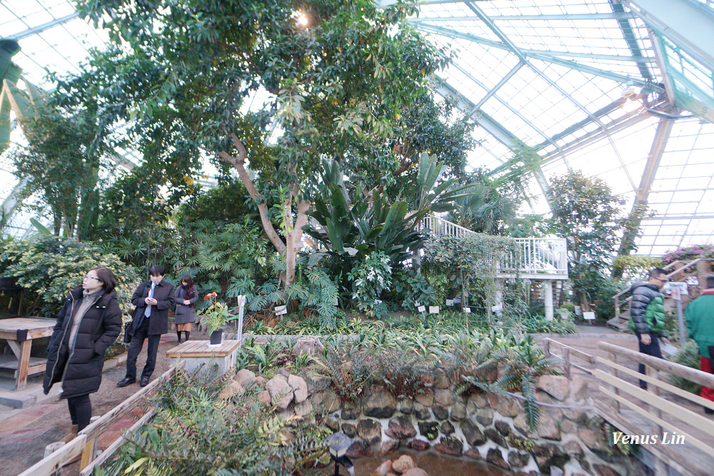 函館市熱帶植物園,函館猴子泡溫泉,猴子泡溫泉,北海道猴子泡溫泉