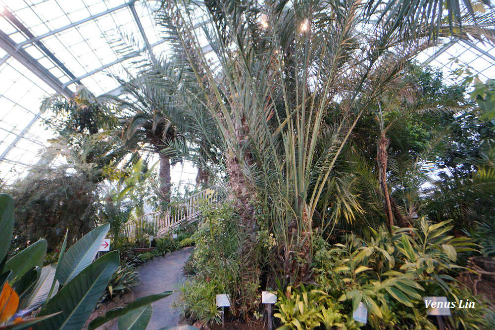 函館市熱帶植物園,函館猴子泡溫泉,猴子泡溫泉,北海道猴子泡溫泉