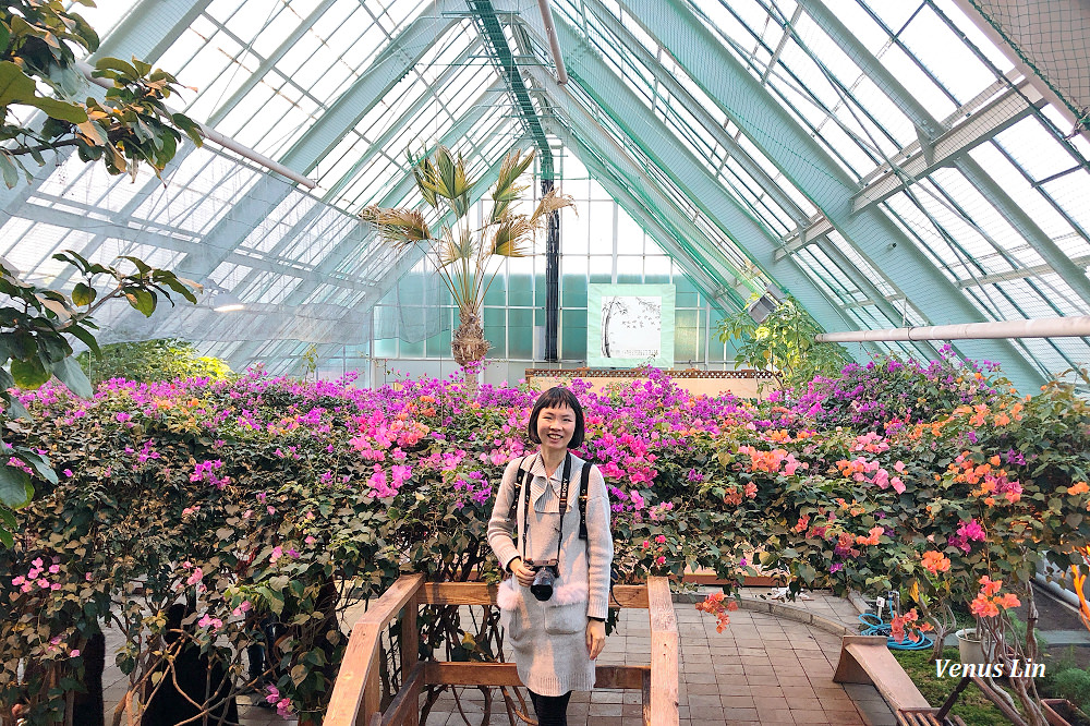 函館市熱帶植物園,函館猴子泡溫泉,猴子泡溫泉,北海道猴子泡溫泉