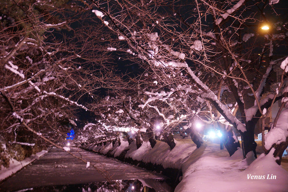 弘前城雪夜櫻,青森冬季活動,青森賞櫻,弘前城櫻花,弘前城星巴克