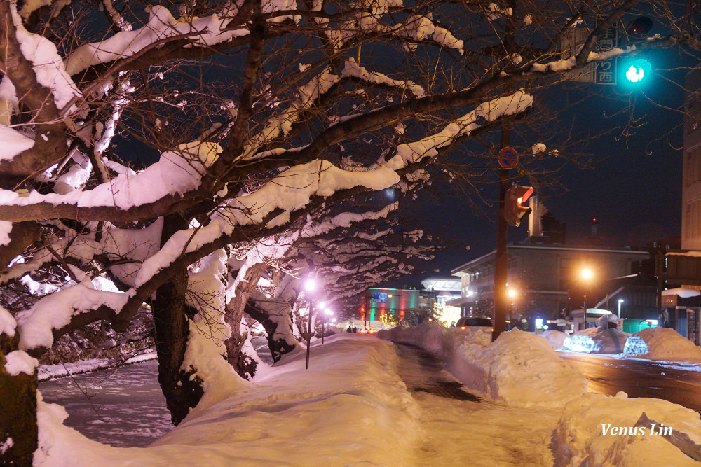 弘前城雪夜櫻,青森冬季活動,青森賞櫻,弘前城櫻花,弘前城星巴克