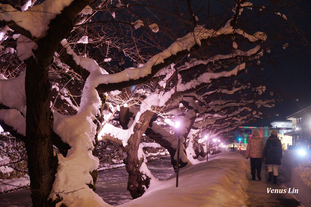 弘前城雪夜櫻,青森冬季活動,青森賞櫻,弘前城櫻花,弘前城星巴克