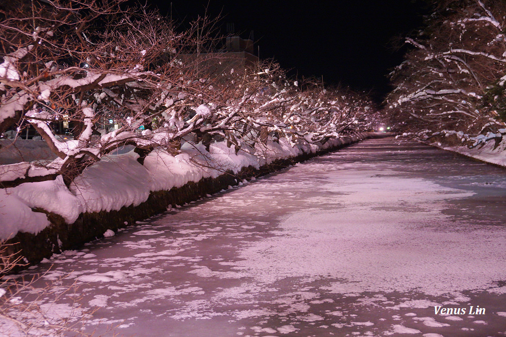 弘前城雪夜櫻,青森冬季活動,青森賞櫻,弘前城櫻花,弘前城星巴克