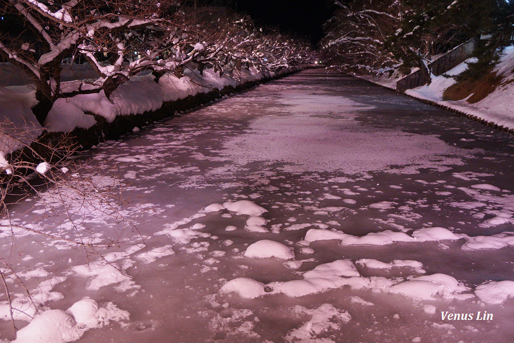 弘前城雪夜櫻,青森冬季活動,青森賞櫻,弘前城櫻花,弘前城星巴克