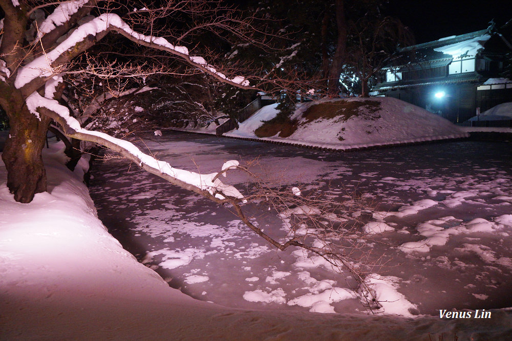 弘前城雪夜櫻,青森冬季活動,青森賞櫻,弘前城櫻花,弘前城星巴克