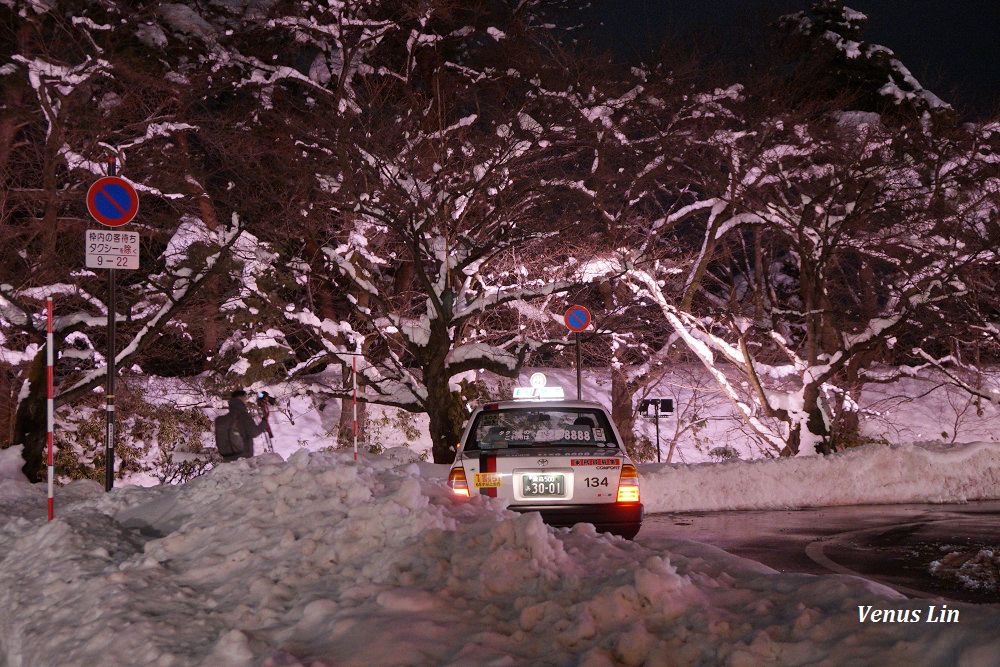 弘前城雪夜櫻,青森冬季活動,青森賞櫻,弘前城櫻花,弘前城星巴克