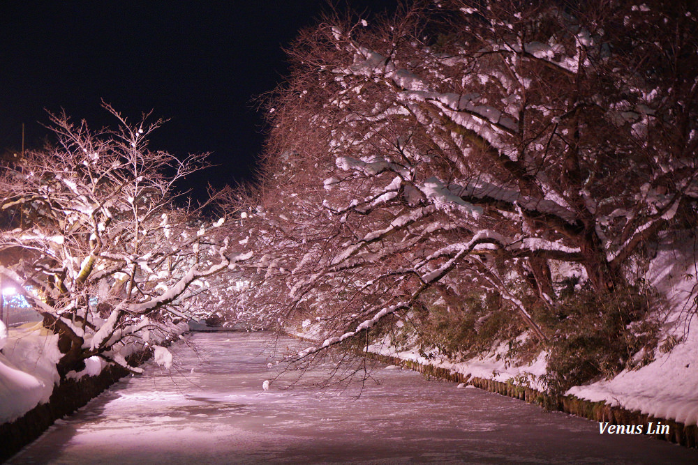 弘前城雪夜櫻,青森冬季活動,青森賞櫻,弘前城櫻花,弘前城星巴克